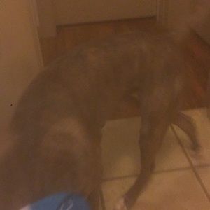 Meet your Posher, Tyrone